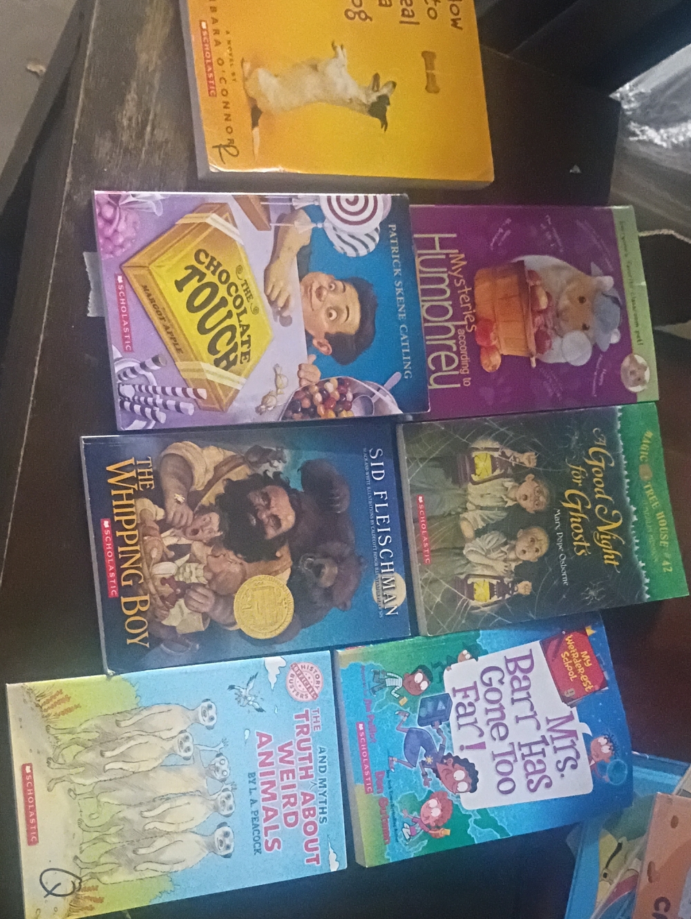 Scholastic Books Set Of 7